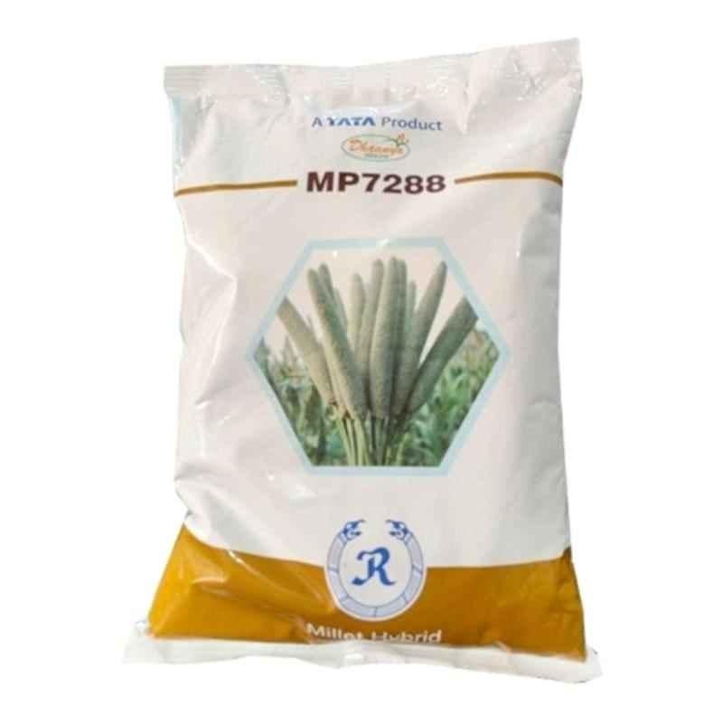 Dhaanya 1.5 kg Grain Millet Seed, MP7288 (Pack of 5)