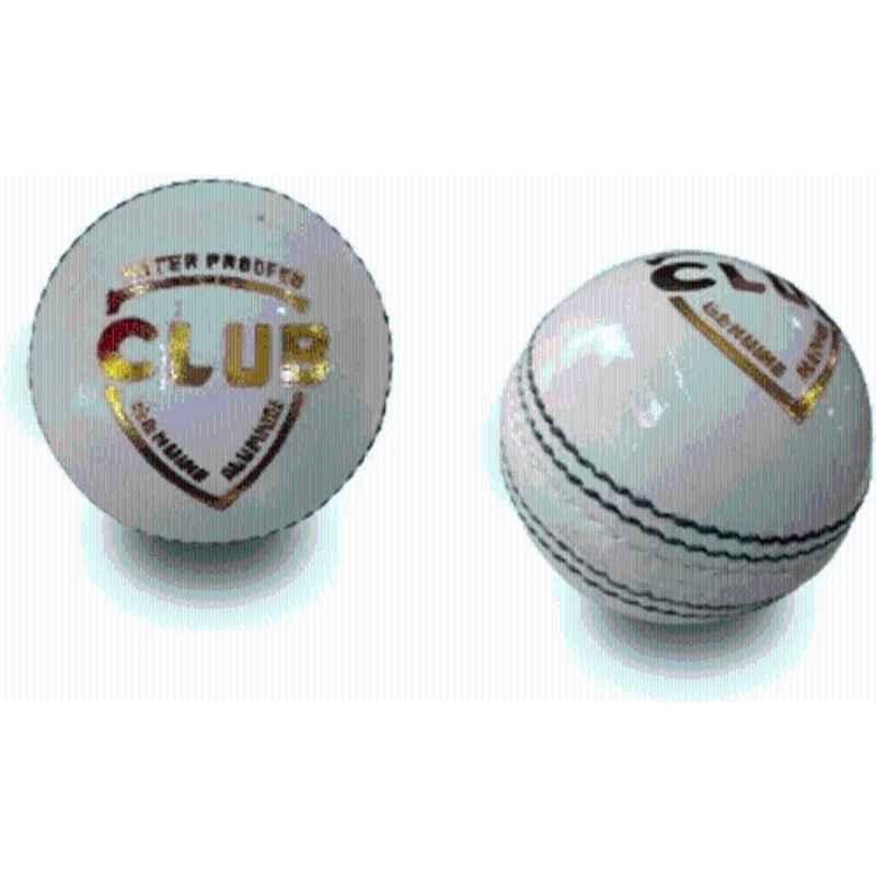 MD Enterprises Hand Stitched Two Pcs Cricket Leather Ball Combo Cricket Leather Ball (Standard White, White)