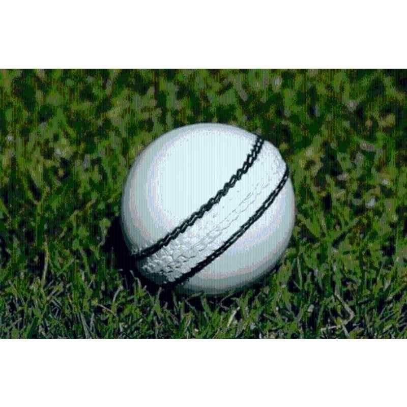 HHS Sports Standard White Premium Cricket Synthetic Leather Ball