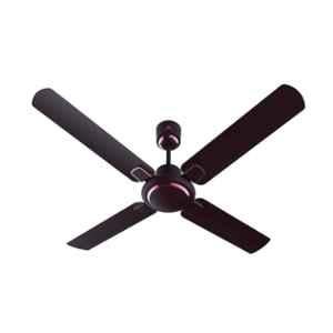 Bajaj Regal Gold NXG 65W Wine Red Ceiling Fan, 251029, Sweep: 1200 mm