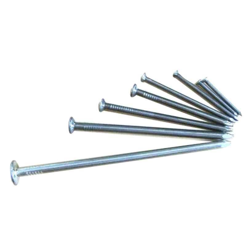 Olympia 4 inch 8 Gauge Common Wire Nail