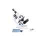Gemko Labwell G-S-725-43 Metal White 1000X Student Compound Microscope with LED Lamp Batteries & Blank Slide Kit