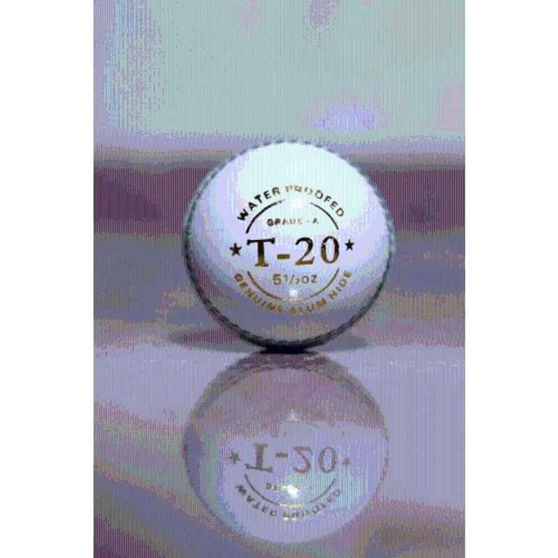 LSI Sports White Leather Cricket Ball for T-20