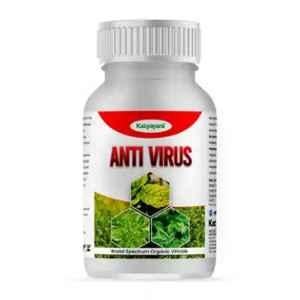 Katyayani 500ml Antivirus No Virus Viricide, K-5565