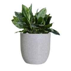 Ugaoo Large Short Sand Stone Rib Planter, NUHP0044