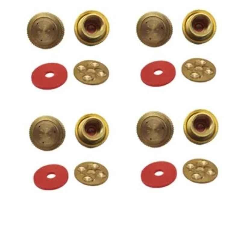 Imported 3-4 Hole Full Brass Premium Quality Nozzle for Agriculture Sprayer (Pack of 4)