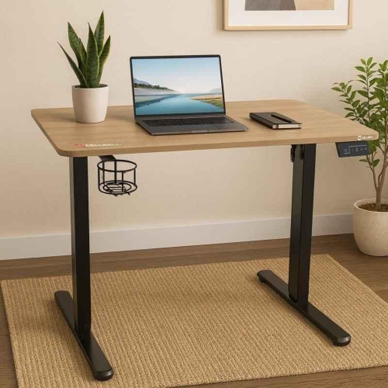 Cellbell Ergolift Wooden & Black Height Adjustable Table for Office Work, CBHKFOC1369-SF_P