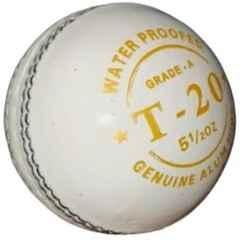 HTM T-20 White Leather Cricket Ball