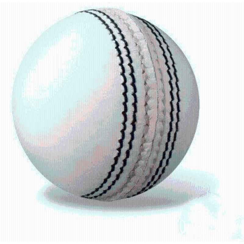 Sports Geek Cricket White Leather Ball (2 Pcs Ball) for Cricket Leather Bat Cricket Leather Ball (Standard Red)