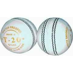 HTM White T-20 Hand Stitched Leather Cricket Ball (Pack of 2)