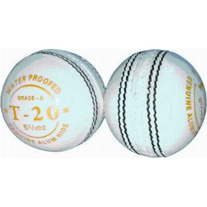 HTM White T-20 Hand Stitched Leather Cricket Ball (Pack of 2)