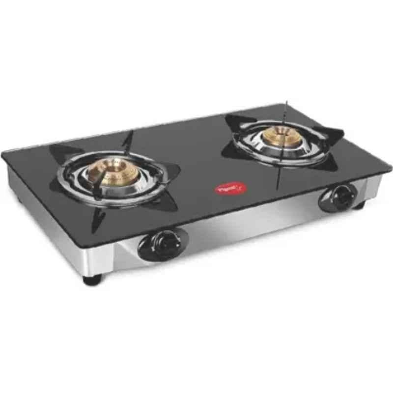 Pigeon gas stove 2025 2 burner stainless steel