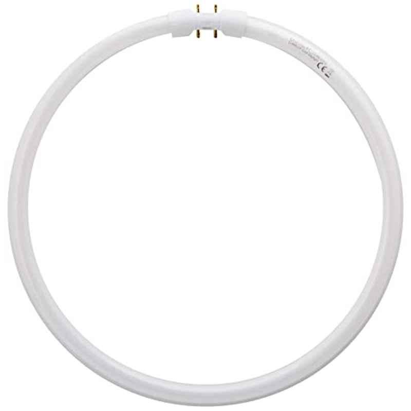 Osram FC 55W/865 2GX13 Daylight Circular Ring Lamp