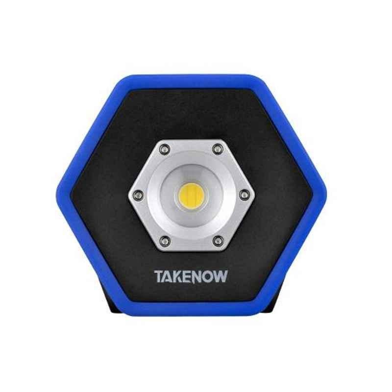 Talenow 1000 lm 180 deg Flood & Area Light, WL4016