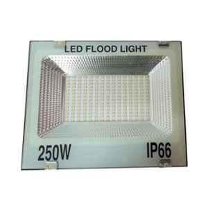 EGK 250W Cool White Waterproof LED Flood Light