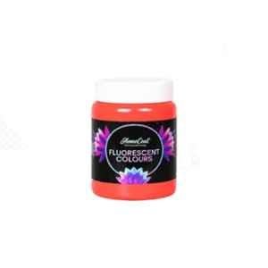 WinnerOne HomeCoat 500ml Orange Fluorescent Colour, FC205 (Pack of 2)