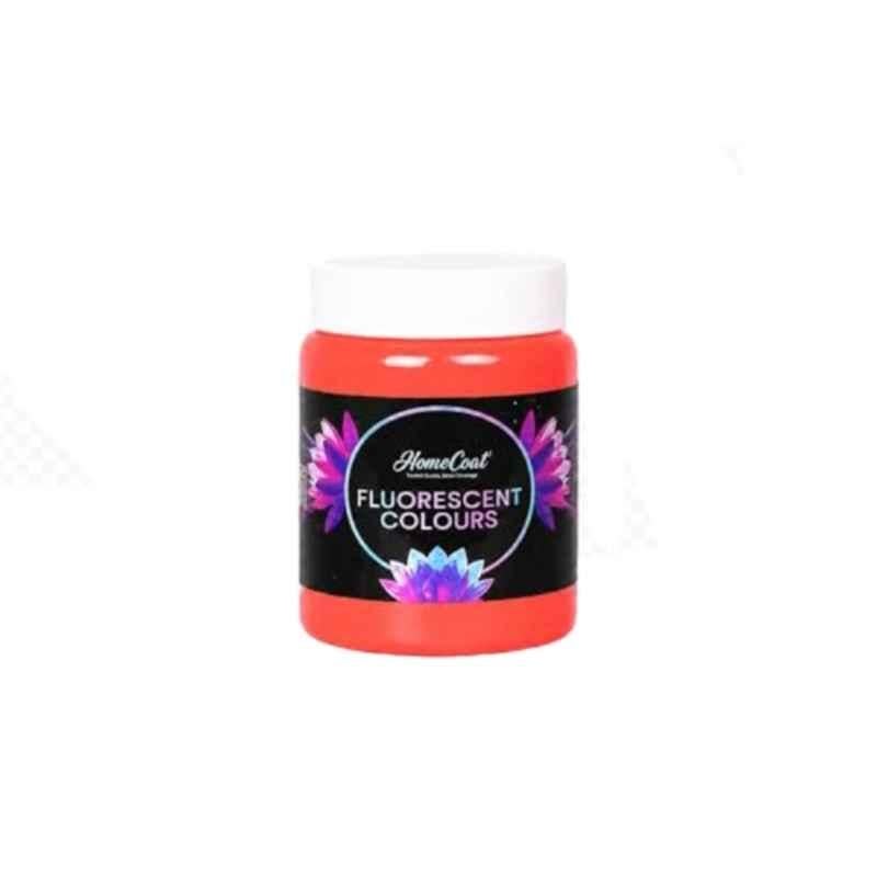 WinnerOne HomeCoat 500ml Orange Fluorescent Colour, FC205 (Pack of 2)