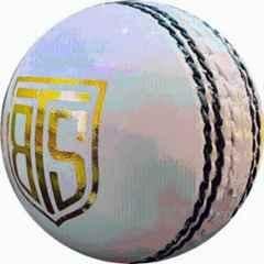 Bhavya Sports Trademark White Leather Ball Cricket Leather Ball (Standard)