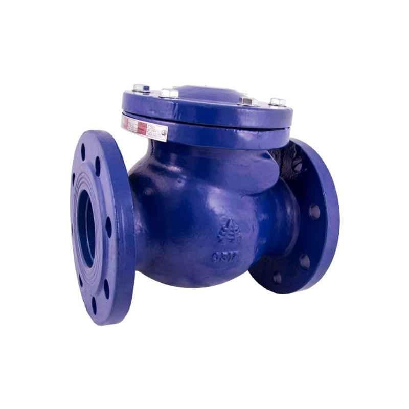 AMS Valves 4 inch Ductile Iron PN16 Flanged End Swing Check Valve, AMSDICVPN16100