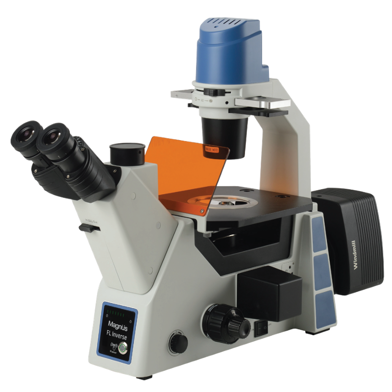 Magnus FL Inverse Trinocular Inverted Fluore Scence Microscope