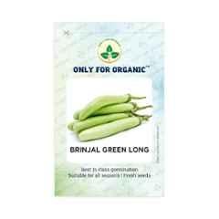 Only For Organic 50g Green Brinjal Long Vegetable Seeds, OFOPPHYBGL0025