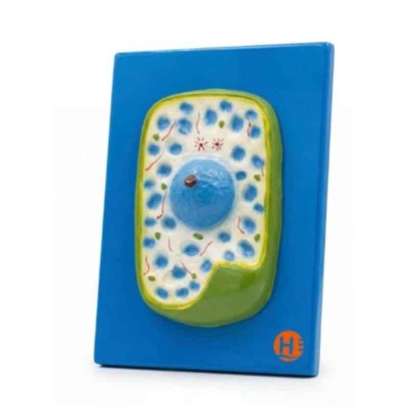 Harrison Enterprises 25x15x3cm Plastic Detailed 3D Plant Cell Model