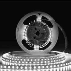 Forus 12V 5m 8mm Cool White LED Strip Light