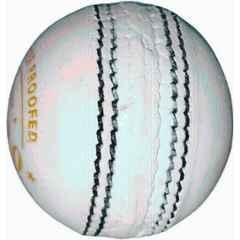 HTM T-20 White Hand Stitched Cricket Leather Ball