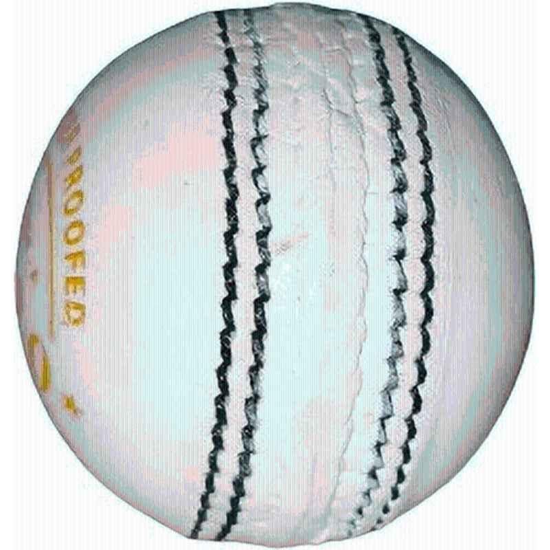 HTM T-20 White Hand Stitched Cricket Leather Ball