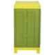Supreme Rhythm Mehandi Green & Lemon Yellow Half Size Storage Cupboard