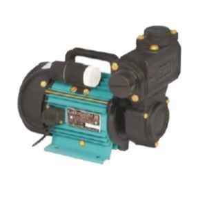 Buy Lubi AQUAFLOW-II 0.5HP Single Phase 