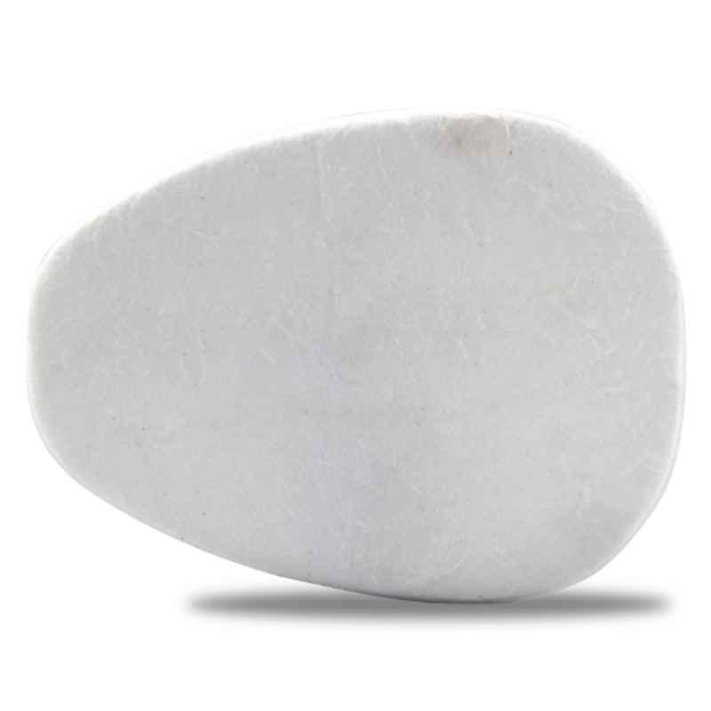Udyogi Res Protek 811 White Particulate Pre-Filter for Twin Filters (Pack of 2)
