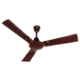 Polycab Eleganz Purocoat Floral & Dziner 75W 400rpm Espresso Brown Ceiling Fan, Sweep: 1200 mm