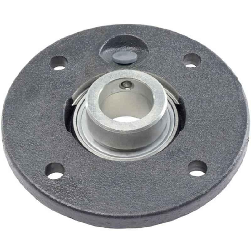 INA RMEY45 Four Bolt Round Flanged Bearing Unit, 45x160x40.2 mm