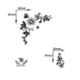 Kayra Decor 48x48 inch PVC Little Blossom Reusable Wall Stencil, KHSNT418