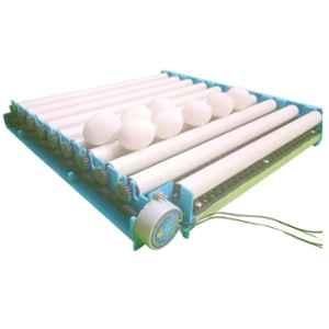 Buy Egg Incubator Accessories Online at Best Price in India