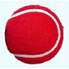 Matrica 10cm Leather Standard Red Professional Grade Impact Cricket Ball for Club Play (Pack of 2)