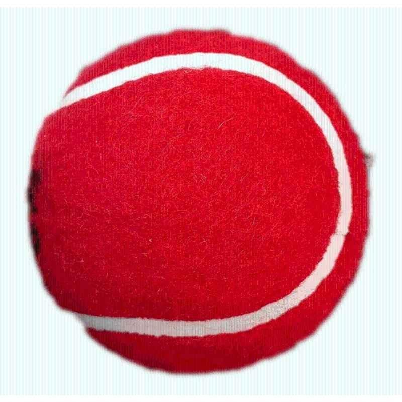 Matrica 10cm Leather Standard Red Professional Grade Impact Cricket Ball for Club Play (Pack of 2)