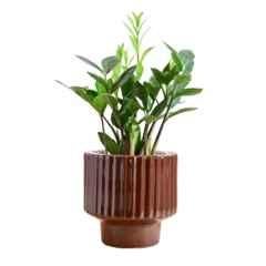 Ugaoo Ceramic Ash Forms of Love Planter, NUCP1218