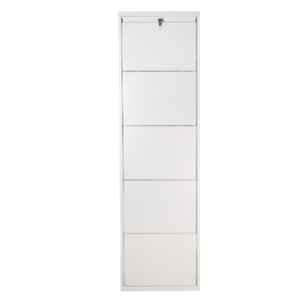 Tufferone 5 Shelves Stainless Steel White Pre Assembled Shoe Rack