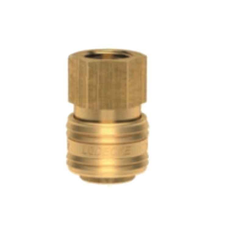 Ludecke ESA12IR G1/2 Single Shut Off Quick Female Thread Connect Coupling