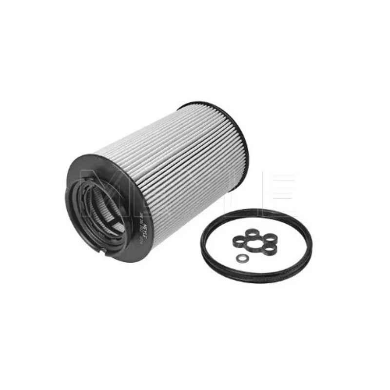 Meyle 100 323 0005 Laura/Superb/Jett Fuel Filter