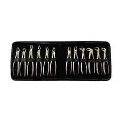 Forgesy GSS83 12 Pcs Stainless Steel Adult Tooth Extraction Forceps Kit