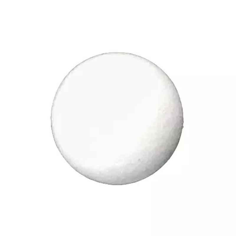 Lab Plus Nylon Coated Iron Ball 1/4 inch, LP-9615 (Pack of 10)