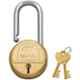 Godrej Navtal 50mm 7 Levers Brass Lock with 2 Keys, 5397