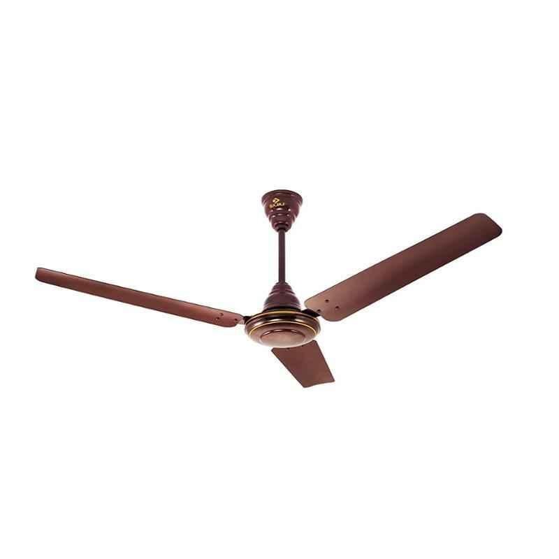 Buy Bajaj Kassels 50 ISI 50W Brown 