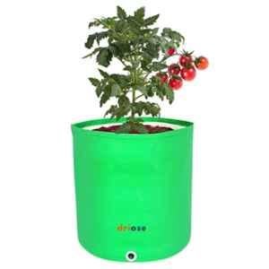 Driose 15x15 inch 350 GSM HDPE UV Protected Grow Bag for Terrace, Balcony, Rooftop & Home Vegetable Gardening (Pack of 10)