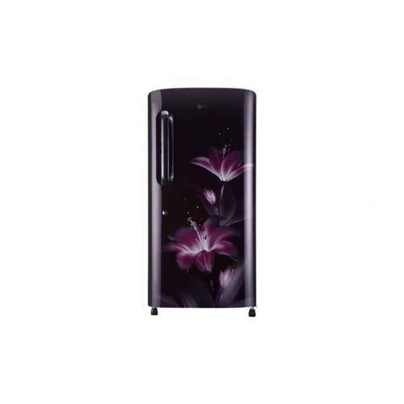 LG 215L 5 Star Purple Glow Smart Inverter Refrigerator, GL-B221APGY