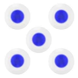 Fybros F-Ring 2W Polycarbonate Blue Round LED Ceiling Light, FLS5746E (Pack of 5)