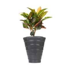 Blume Colosseum 10 inch Slate Grey Plastic Flower Pot